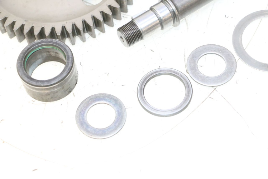 photo de PIGNON DUCATI SS IE DS CARENEE 1000 (2002 - 2006) - Gros plan technique