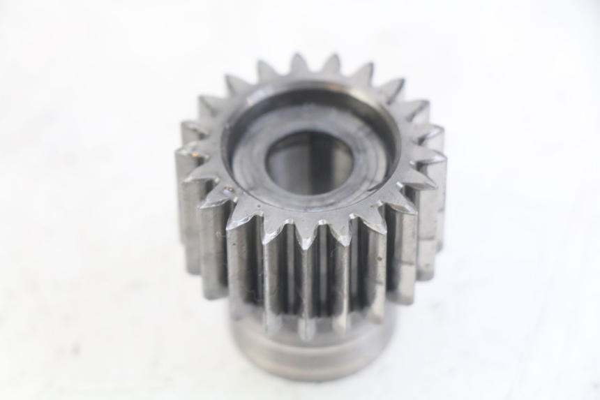photo de PIGNON TRANSMISSION GAS-GAS SM ROOKIE 50 (2001 - 2005)