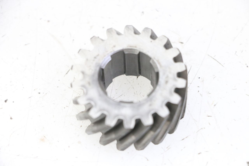 photo de PIGNON TRANSMISSION HONDA MTX TC02 125 (1987 - 1989)