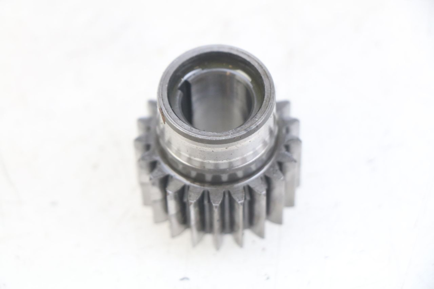 photo de PIGNON TRANSMISSION GAS-GAS SM ROOKIE 50 (2001 - 2005)