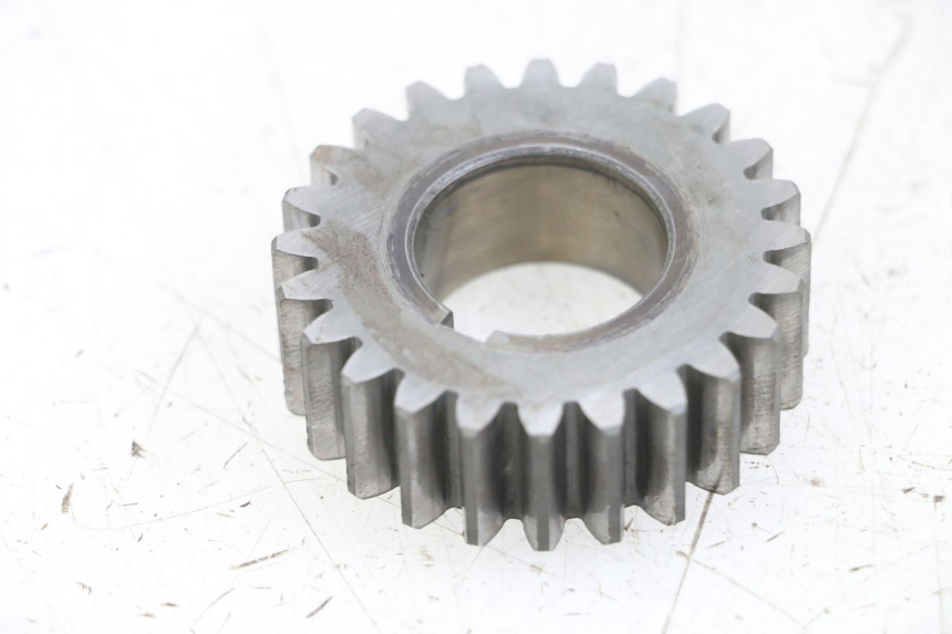 photo de PIGNON TRANSMISSION SUZUKI GSX E 250 (1982 - 1983)