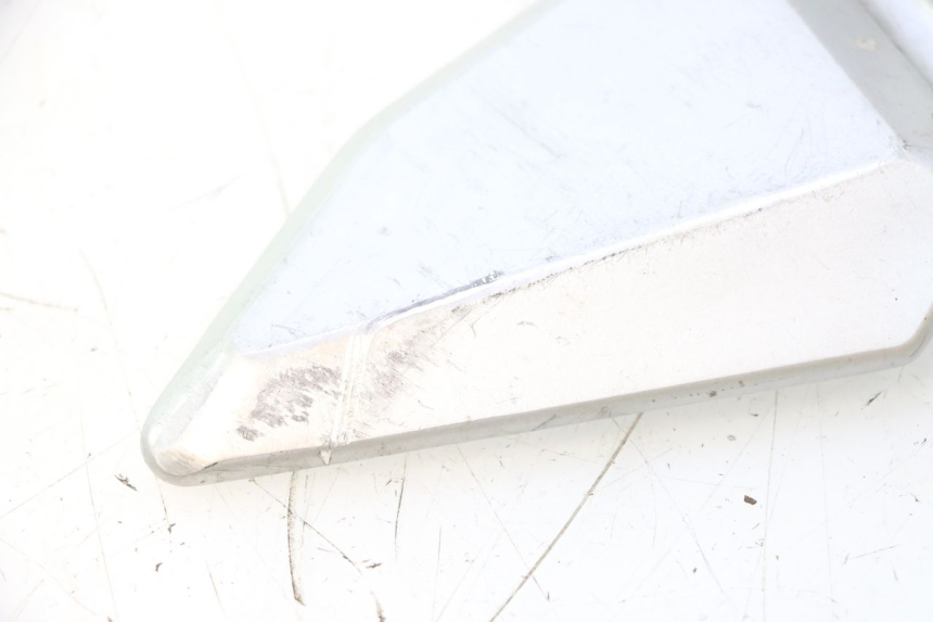 photo de PLATINE CALE PIED AVANT GAUCHE SUZUKI SV S 650 (2003 - 2009) - État de surface