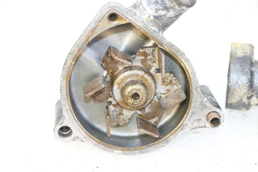 photo de POMPE A EAU TRIUMPH SPRINT 900 (1995 - 1998)