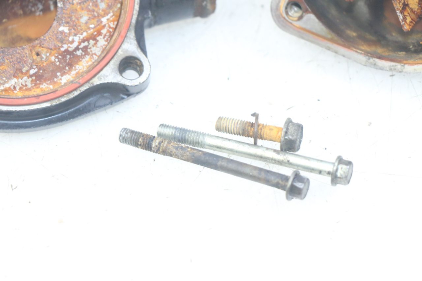 photo de POMPE A EAU TRIUMPH SPRINT ST 955 (1999 - 2001)