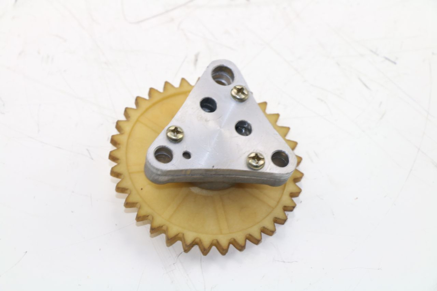 photo de POMPE A HUILE BAOTIAN BT 49 QT-9 50 (2006 - 2010)