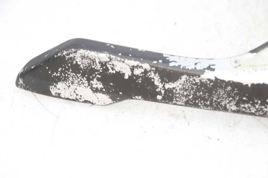 photo de PORTE PAQUET DAELIM S1 125 (2007 - 2016) - Gros plan technique