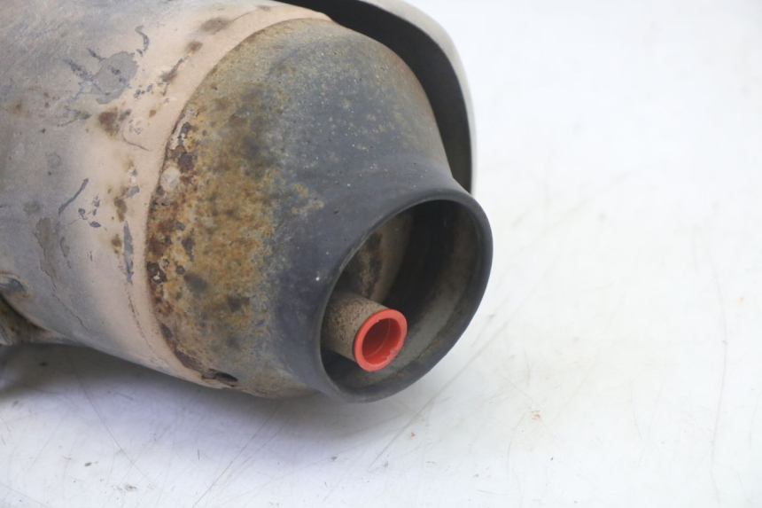 photo de POT ECHAPPEMENT HONDA FES S-WING SWING ABS 125 (2007 - 2015)