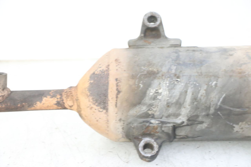 photo de POT ECHAPPEMENT HONDA FES S-WING SWING ABS 125 (2007 - 2015)