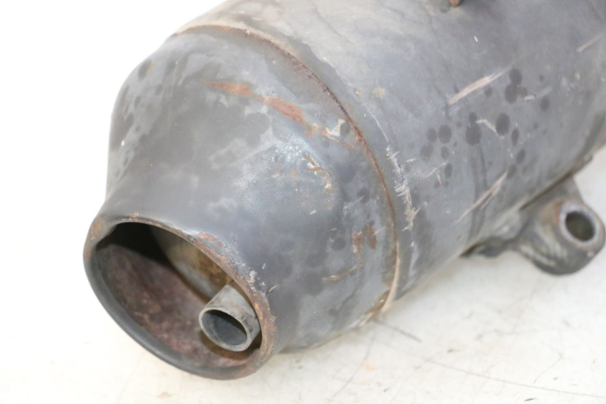 photo de POT ECHAPPEMENT HONDA FES S-WING SWING ABS 125 (2007 - 2015)