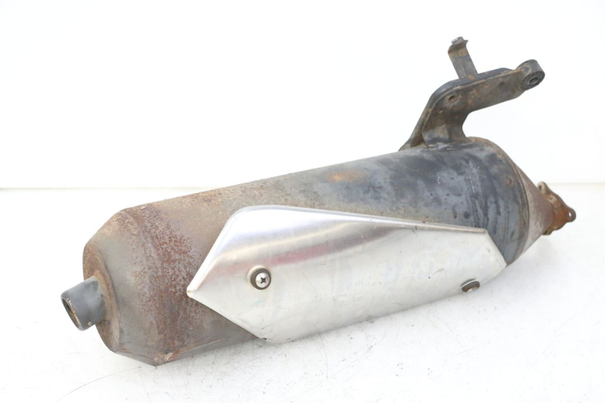 photo de POT ECHAPPEMENT DAELIM HISTORY 125 (2001 - 2002)