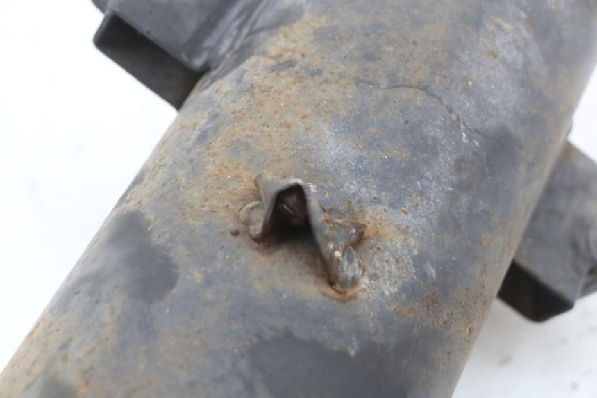 photo de POT ECHAPPEMENT LONGJIA EASY MAX 125 (2020 - 2024)