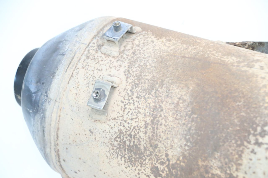 photo de POT ECHAPPEMENT PIAGGIO MP3 RL 250 (2006 - 2010) - Vue principale
