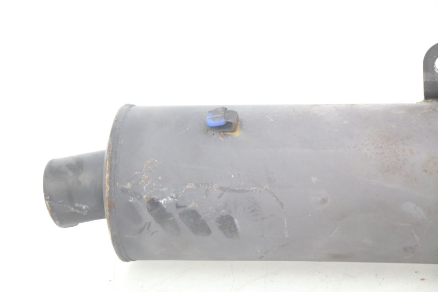 photo de POT ECHAPPEMENT IMF INDUSTRIE PACH 2T 50 (2009 - 2018) - Détails caractéristiques