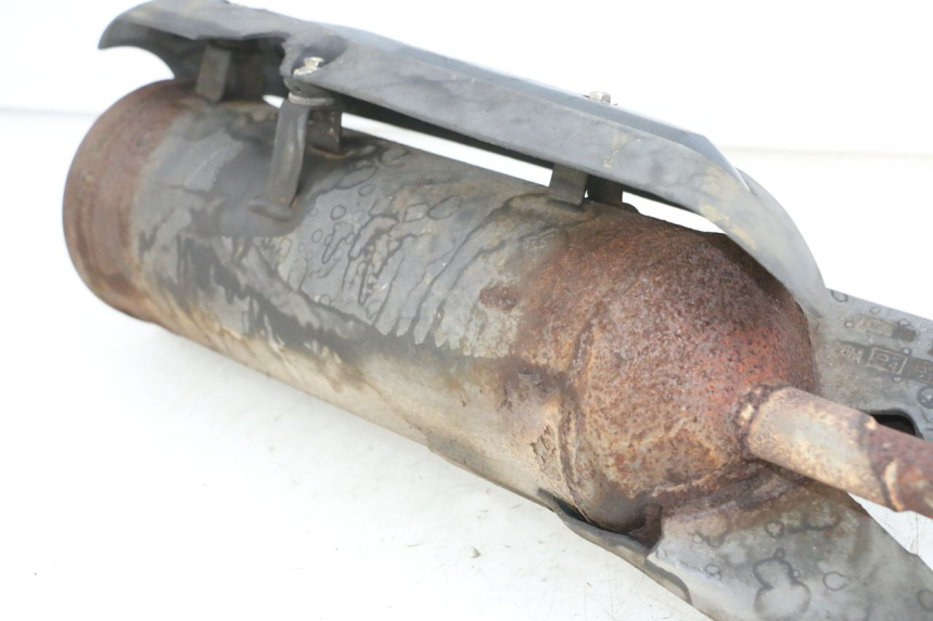 photo de POT ECHAPPEMENT PEUGEOT TWEET PRO CARGO 50 (2018 - 2020)