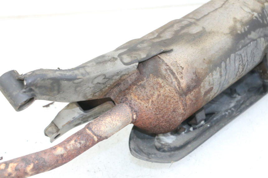 photo de POT ECHAPPEMENT PEUGEOT TWEET PRO CARGO 50 (2018 - 2020)