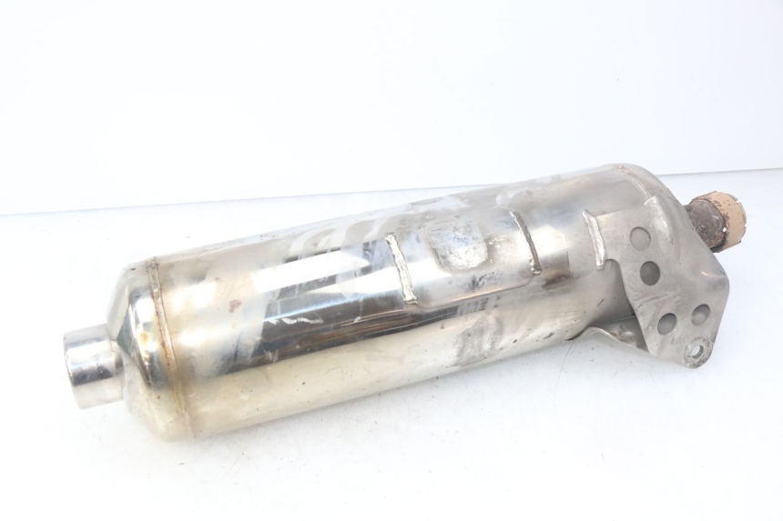 photo de POT ECHAPPEMENT PIAGGIO MP3 500 (2014 - 2016)