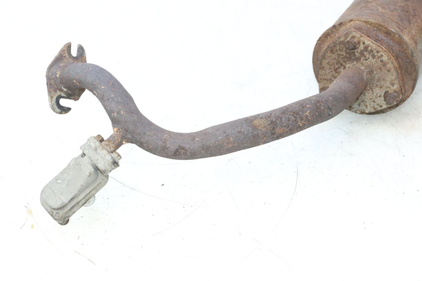 photo de POT ECHAPPEMENT TNT MOTOR ROMA 12' 2T 50 (2007 - 2018) - Gros plan technique