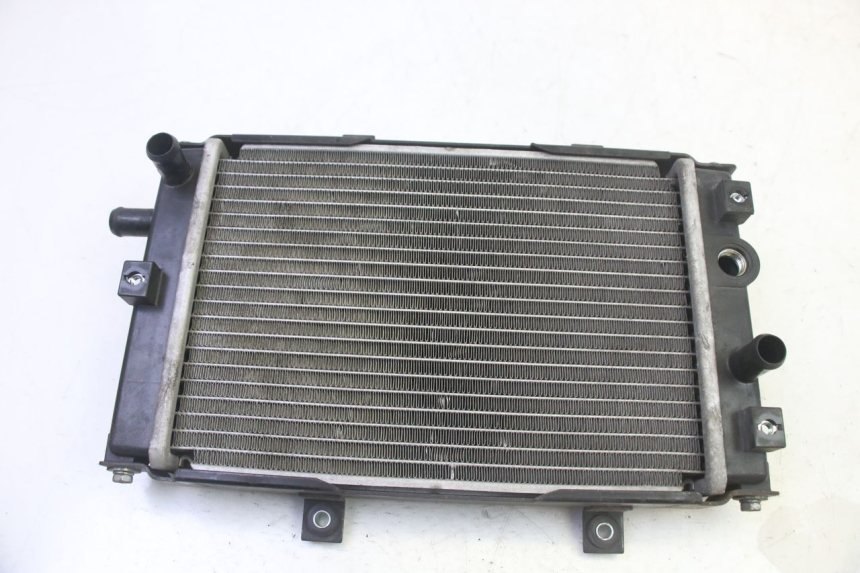 photo de RADIATEUR QUADRO 4 4D 350 (2015 - 2018)