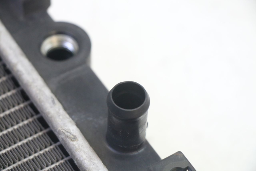 photo de RADIATEUR QUADRO 4 4D 350 (2015 - 2018)