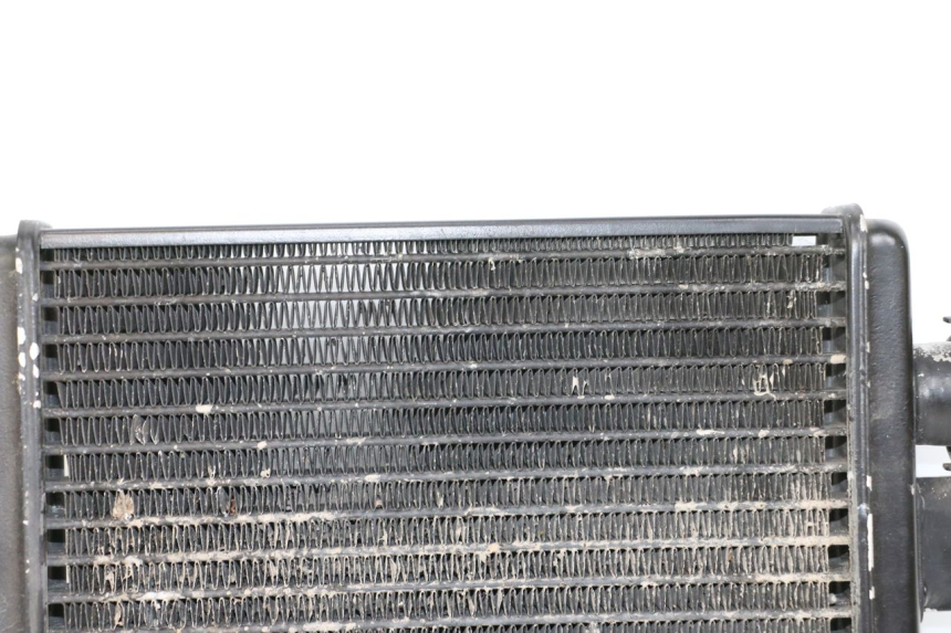 photo de RADIATEUR APRILIA CLASSIC 125 (1995 - 2001)
