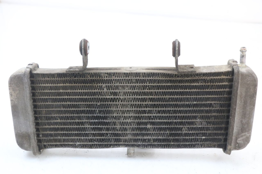 photo de RADIATEUR APRILIA RS 50 (2006 - 2010)