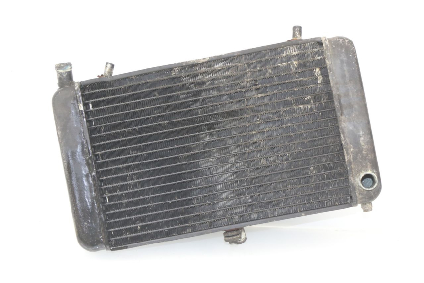 photo de RADIATEUR APRILIA RS AF-1 125 (1990 - 1993)