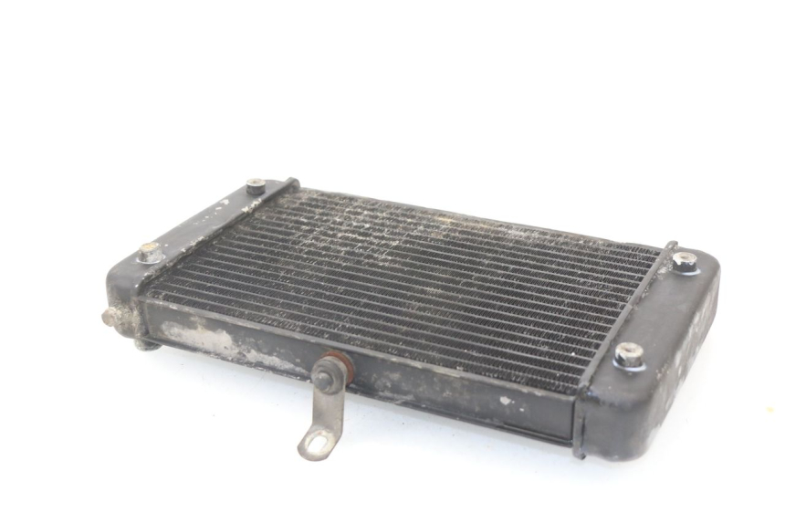 photo de RADIATEUR APRILIA RS AF-1 125 (1990 - 1993)