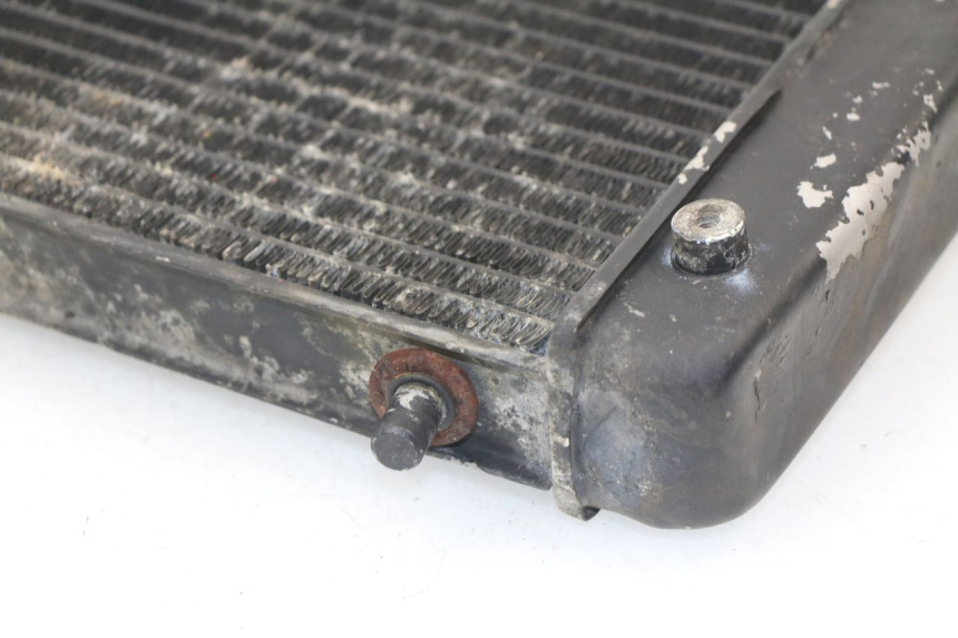 photo de RADIATEUR APRILIA RS AF-1 125 (1990 - 1993)