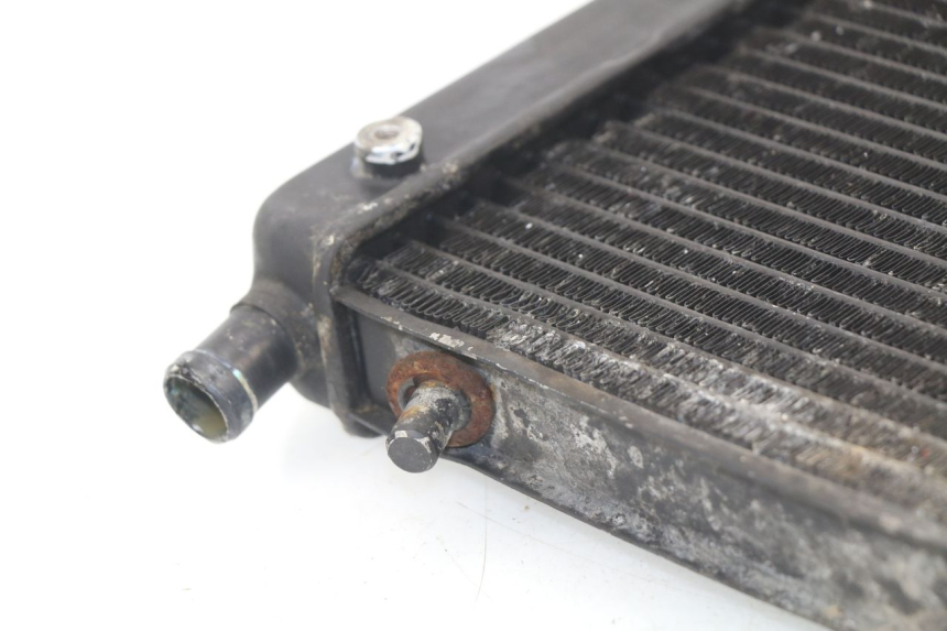 photo de RADIATEUR APRILIA RS AF-1 125 (1990 - 1993)