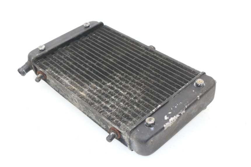 photo de RADIATEUR APRILIA RS AF-1 125 (1990 - 1993)