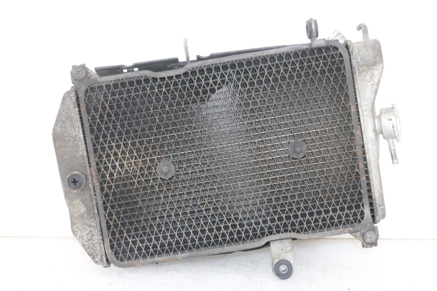 photo de RADIATEUR SUZUKI BURGMAN 650 (2013 - 2020)