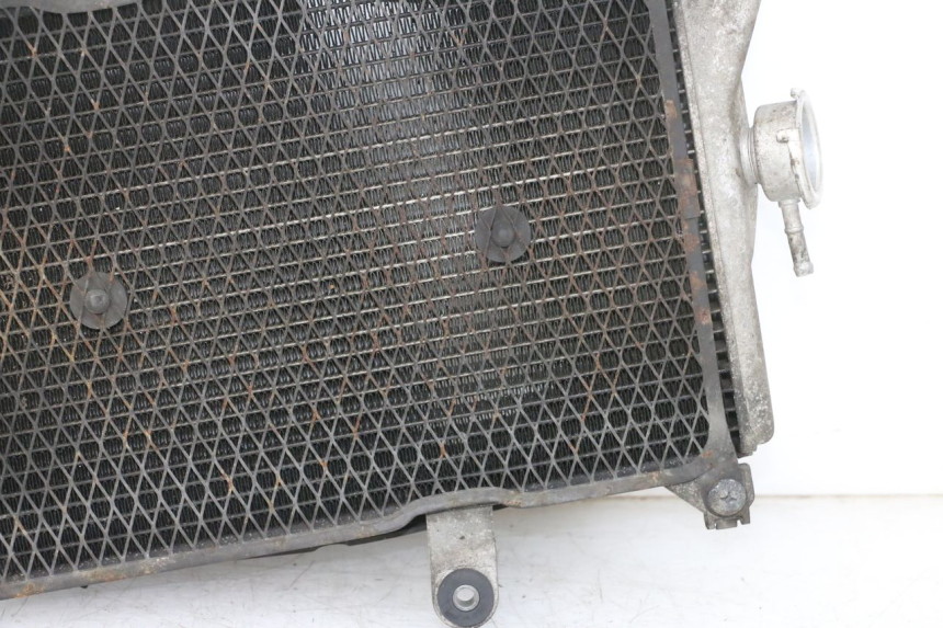 photo de RADIATEUR SUZUKI BURGMAN 650 (2013 - 2020)