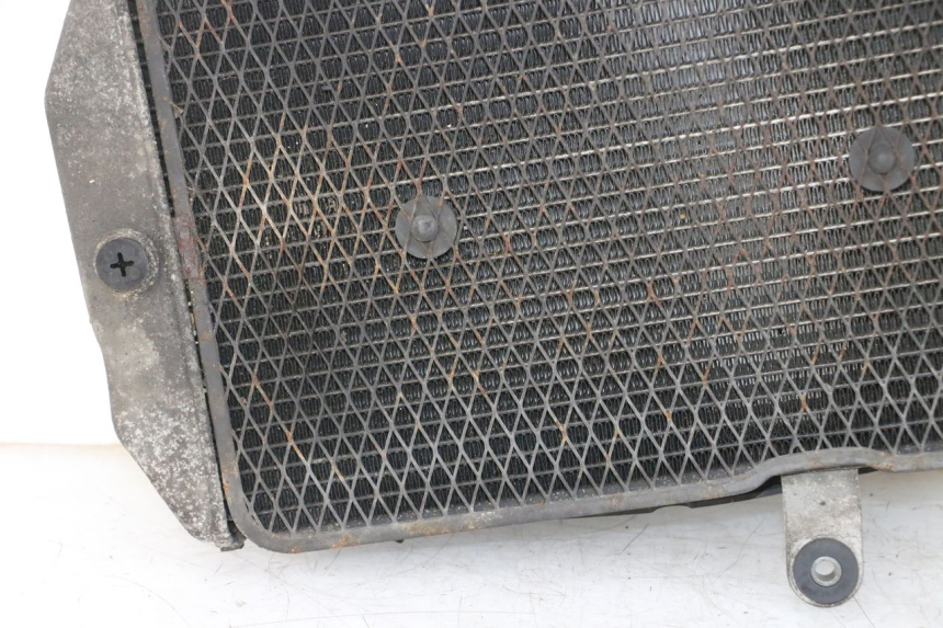 photo de RADIATEUR SUZUKI BURGMAN 650 (2013 - 2020)