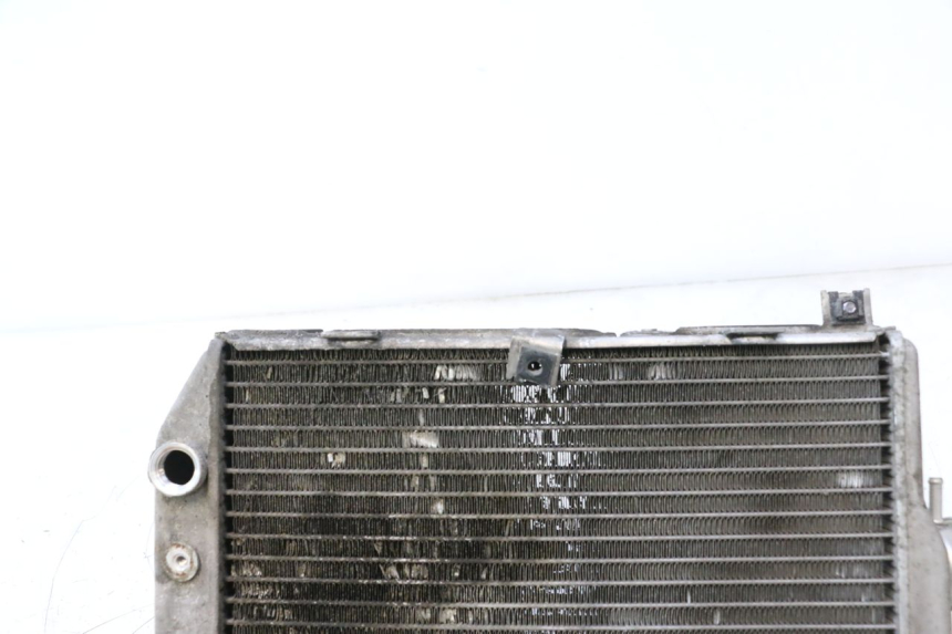photo de RADIATEUR SUZUKI BURGMAN EXECUTIVE ABS 650 (2006 - 2012) - Détail de la pièce