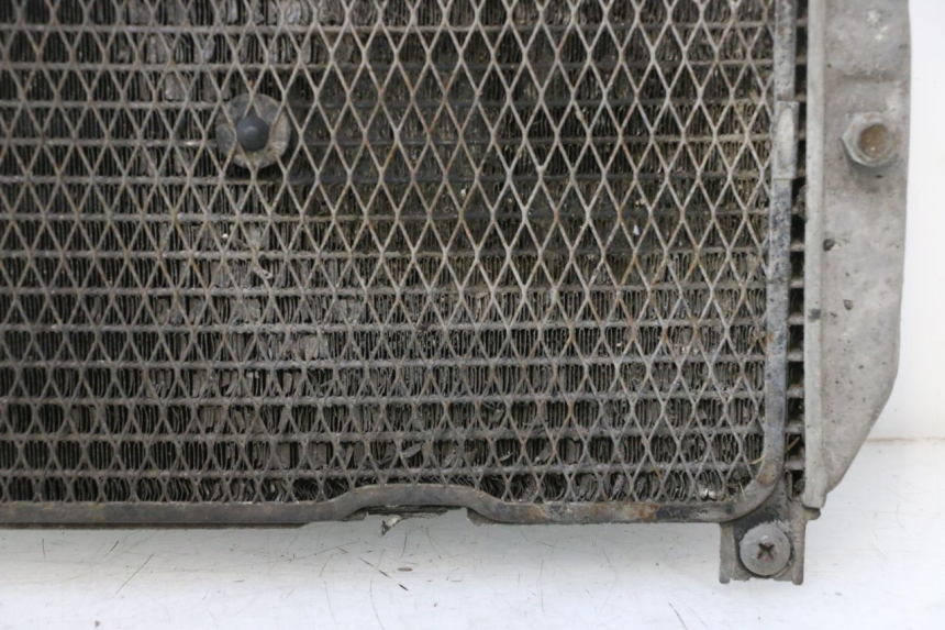 photo de RADIATEUR SUZUKI BURGMAN EXECUTIVE ABS 650 (2006 - 2012) - Focus structure