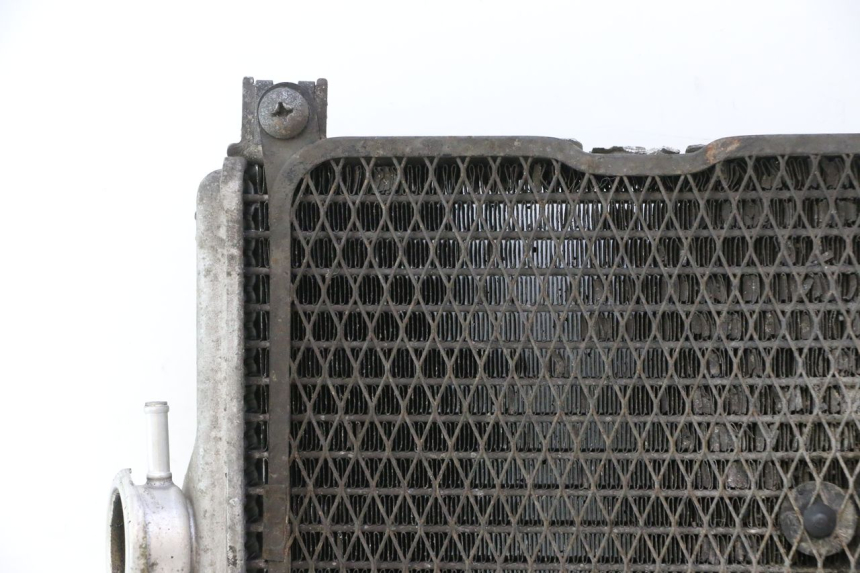 photo de RADIATEUR SUZUKI BURGMAN EXECUTIVE ABS 650 (2006 - 2012) - Zoom qualité
