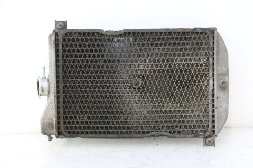 photo de RADIATEUR SUZUKI BURGMAN EXECUTIVE ABS 650 (2006 - 2012) - Aperçu profil