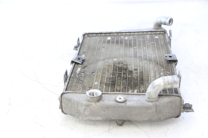 photo de RADIATEUR SUZUKI BURGMAN EXECUTIVE ABS 650 (2006 - 2012) - État de surface