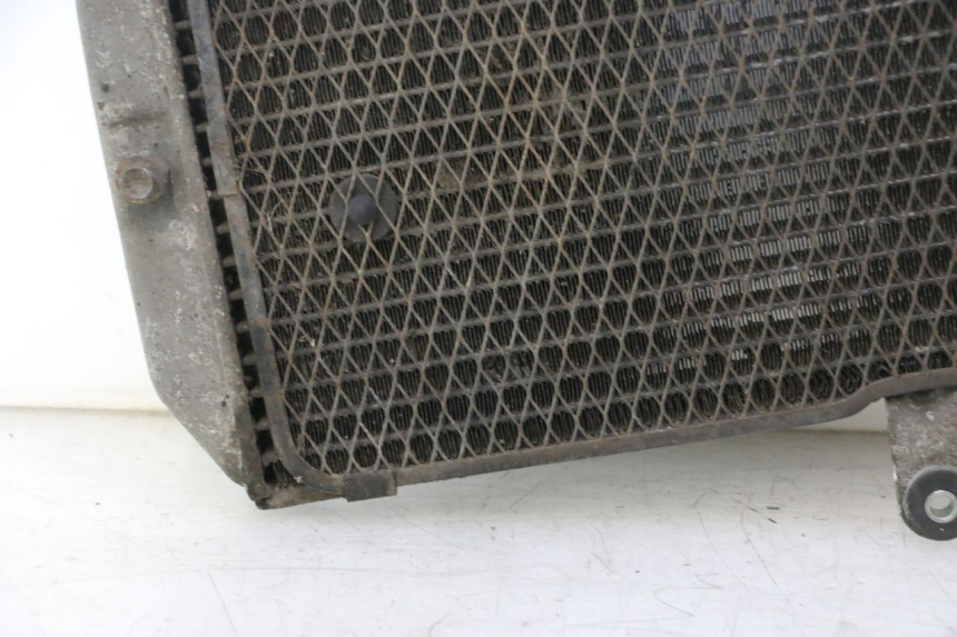 photo de RADIATEUR SUZUKI BURGMAN EXECUTIVE ABS 650 (2006 - 2012) - Zoom état d’usage