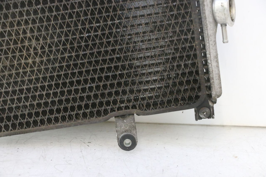 photo de RADIATEUR SUZUKI BURGMAN EXECUTIVE ABS 650 (2006 - 2012) - Autre angle de vue
