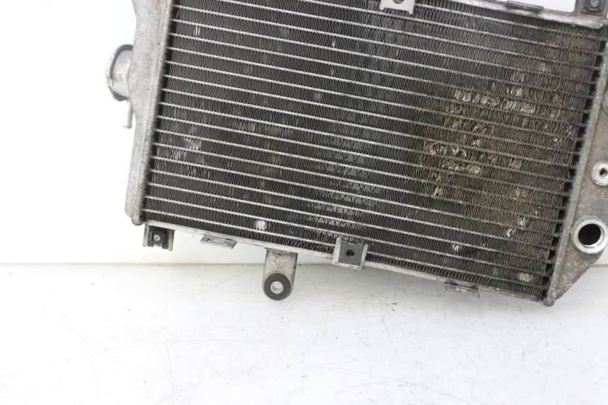 photo de RADIATEUR SUZUKI BURGMAN EXECUTIVE ABS 650 (2006 - 2012) - Pièce contrôlée