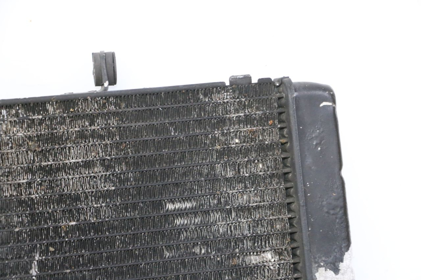photo de RADIATEUR HONDA CBR RR FIREBLADE 900 (1992 - 1994)