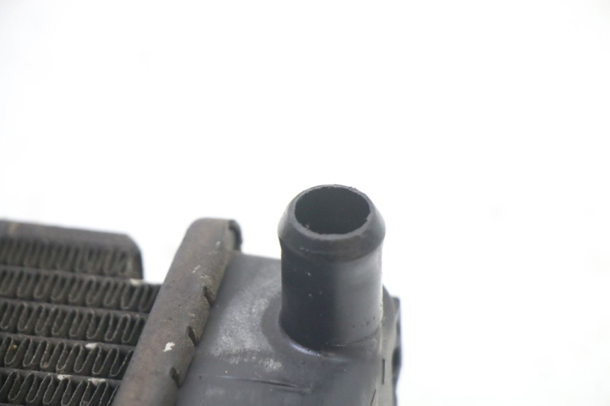 photo de RADIATEUR KYMCO DINK STREET 125 (2009 - 2014)