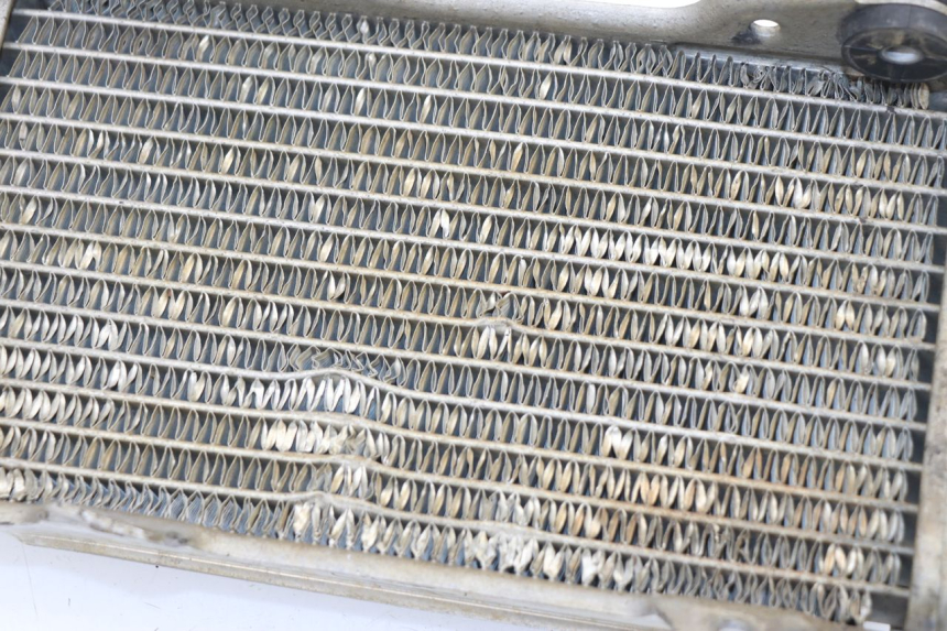 photo de RADIATEUR DROIT HONDA CRF 250 (2013 - 2016)