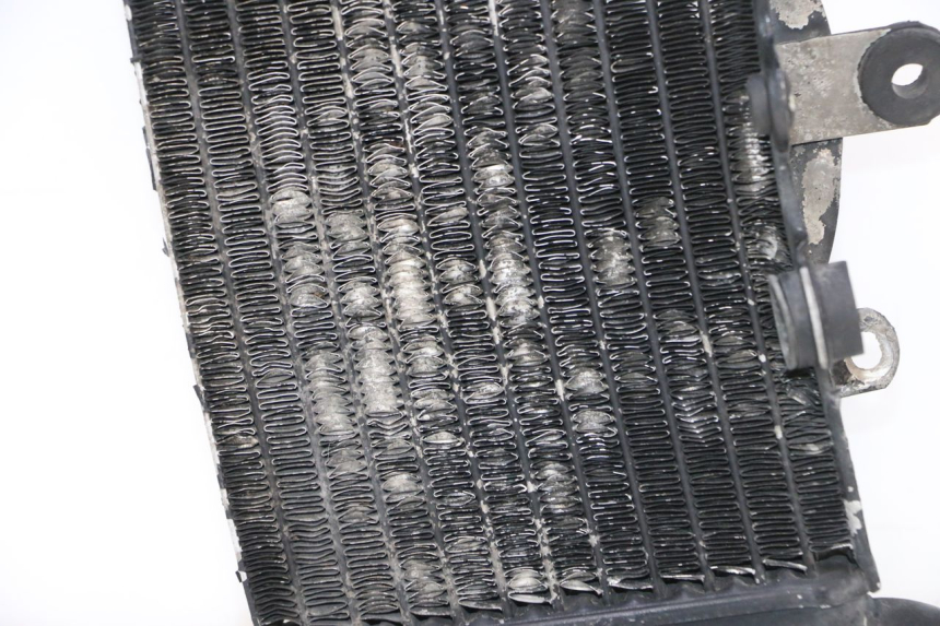 photo de RADIATEUR DROIT HONDA XRV AFRICA TWIN 750 (1990 - 1992) - Détail de la pièce