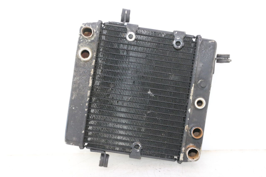 photo de RADIATEUR HONDA FES PANTHEON 2T 125 (1998 - 2002) - Vue principale