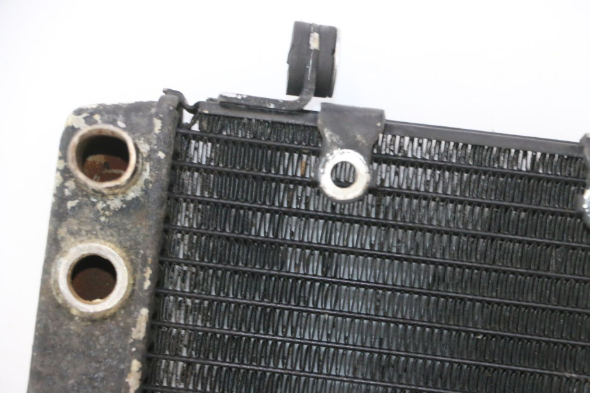 photo de RADIATEUR HONDA FES PANTHEON 2T 125 (1998 - 2002) - Vue produit