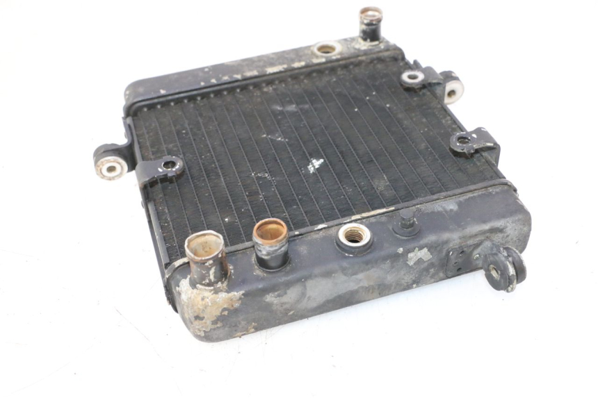 photo de RADIATEUR HONDA FES PANTHEON 2T 125 (1998 - 2002) - Autre angle de vue