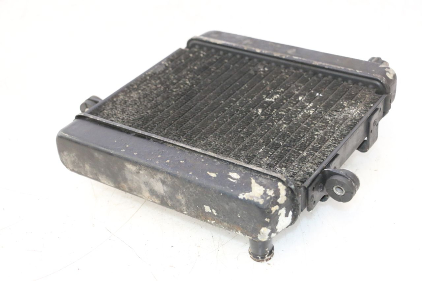 photo de RADIATEUR HONDA FES PANTHEON 2T 125 (1998 - 2002) - Vue d’ensemble