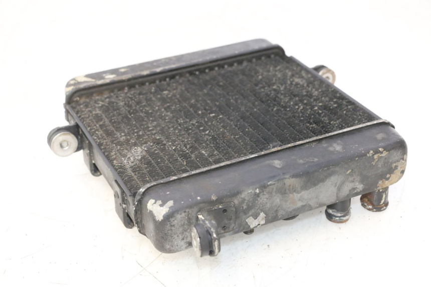 photo de RADIATEUR HONDA FES PANTHEON 2T 125 (1998 - 2002) - Points de fixation